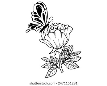 Flower Butterfly Line Art Black and White