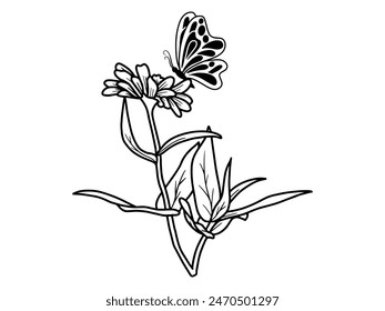 Flower Butterfly Line Art Illustration