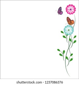 flower and butterfly on white background