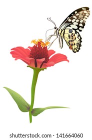  flower and butterfly vector. EPS10 File simple Gradients and Transparencies. no Effects, no mesh.All in separate group for easy editing.