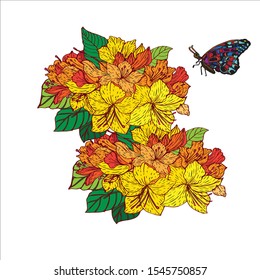 flower and butterfly vector illustration