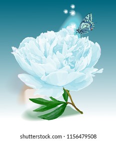 Flower and butterfly. Vector illustration. White, blue