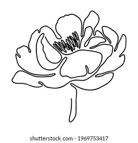 Flower by one continuous line art. Abstract topical vector image isolated on white background. For printing, postcards, tattoos, booklets and other projects. EPS 10.