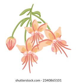 Flower cacao tree icon cartoon vector. Cocoa bean. Plant powder