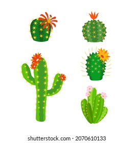 Flower cactus. Bright cacti and aloe leaves. Home green plant with red and yellow blossoms, desert exotic flora, houseplants interior decor elements, vector cute cartoon isolated set