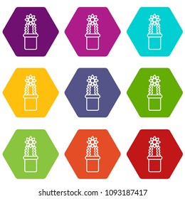 Flower cactus icons 9 set coloful isolated on white for web