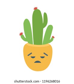 
A flower cactus for outdoor garden 
