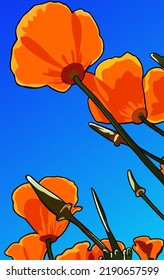 Flower (California poppy) vector illustration. 