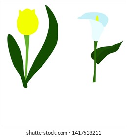 Flower Calla Tulip Vector Stock Vector (Royalty Free) 1417513211 ...