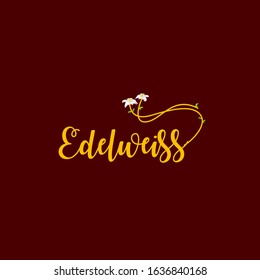flower calligraphy logo design inspiration . edelweiss logo design inspiration . floral handwriting logo template . edelweiss icon