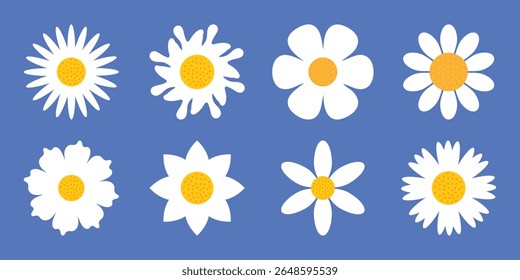 Flower Camomile Daisy flower set cute round white flowers flat vector illustration love florals bloom decor ornate artistic creative design decorative ornamental card blossom botanical cartoon