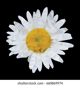 A flower of a camomile in style low poly. triangulation