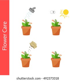 Flower Care. Watering Flowers, flower fertilizer, cultivation temperature. Vector Elements isolated on a white background.
