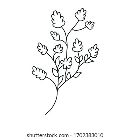 flower cartoon hand drawn on white background