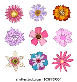 flower cartoon vector  