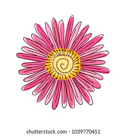 flower cartoon vector