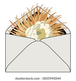 Flower of cereus cactus in paper envelope. Creative botanical concept.