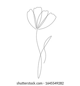 Flower chamomile isolated on white, vector illustration
