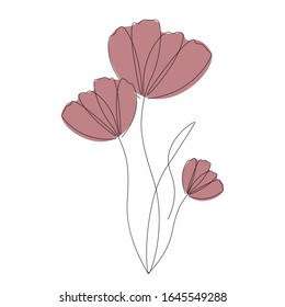 Flower chamomile isolated on white, vector illustration