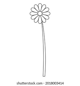 Flower. Chamomile. Sketch. A blossoming bud. Flowering plant. Vector illustration. Coloring book for children. Flower petals. Outline on an isolated white background. Doodle style. Idea for web design