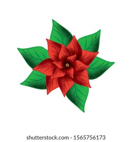 flower christmas decorative with leafs vector illustration design