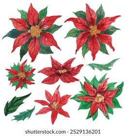 Flower christmas Poinsettia element set. hand draw watercolor painted isolated on white background. for design such as card, wallpaper, textile and on so.