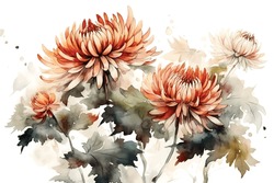Flower Chrysanthemum Watercolor White Background