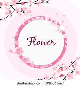 Flower Circle Frame Sakura Pink Background Vector Image
