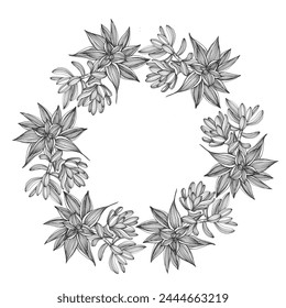 Marco de círculo de flores suculentas. Borde de línea redonda dibujado a mano, hojas y flores, invitación de boda y tarjetas, diseño de logotipo y Plantilla de carteles. Elegante estilo minimalista Vector floral aislado 