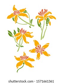 Flower clematis set. Vector illustration.