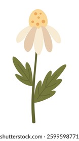 Flower clipart, cute floral hand drawn seasonal objects. Vector illustration in flat style