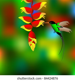 Flower with colibri.Vector Illustration.