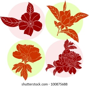 flower collection
