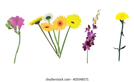 Flower collection