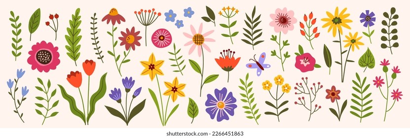 Flower collection, floral design elements vector set.