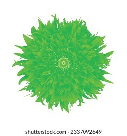 Flower collection with geometric styles
