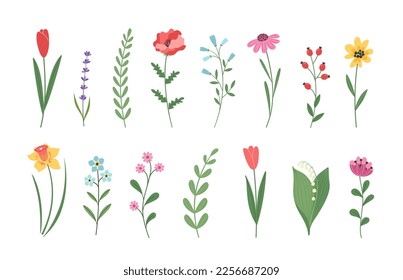 Flower collection with leaves. Floral decorations. Vector flowers. Spring summer art print with botanical elements. 8 march, Mother's day, Happy Easter. Posters for the spring holidays.