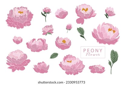 flower collection with pink peony element.Vector illustration for icon,sticker,printable