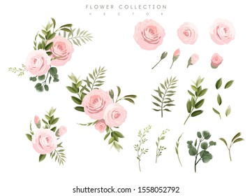 Flower collection  Roses