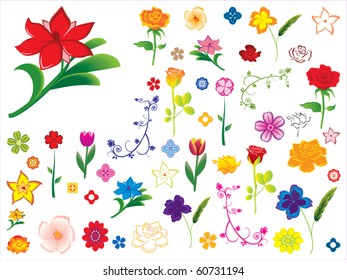 Flower Collection Vector