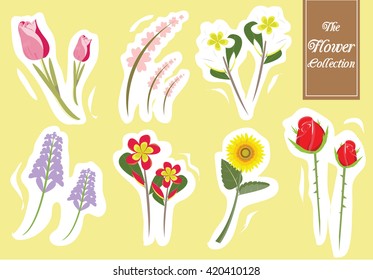 The flower collection vector illustration