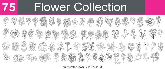 Ilustración vectorial de la colección de flores. Gran juego de flores. Rose, Lily, Tulip, margarita, loto, girasol y más.  Estilo de esquema de diseño simple. aislado de fondo blanco. dibujos de flores con arte de líneas. 