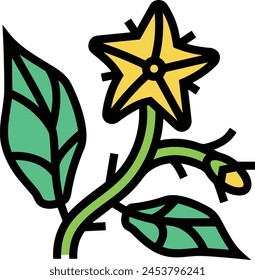 Flower collorfull icon symbol vector image