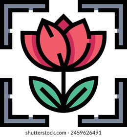 Flower collorfull icon symbol vector image