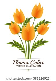 flower color design 