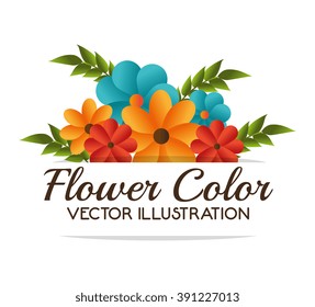 flower color design 