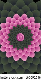 Flower. Color Vector Pattern or Texture. Pink and red Background