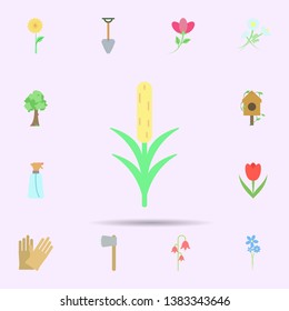 Flower colored icon. Universal set of nature for website design and development, app development