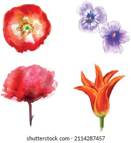 Flower Colorful Watercolor And Oil pastel Handpainted Floral elements