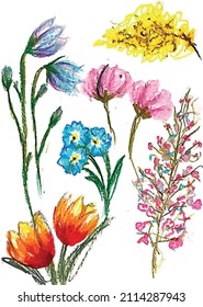 Flower Colorful Watercolor And Oil pastel Handpainted Floral elements
